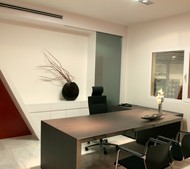 CARLET OFFICES (2)